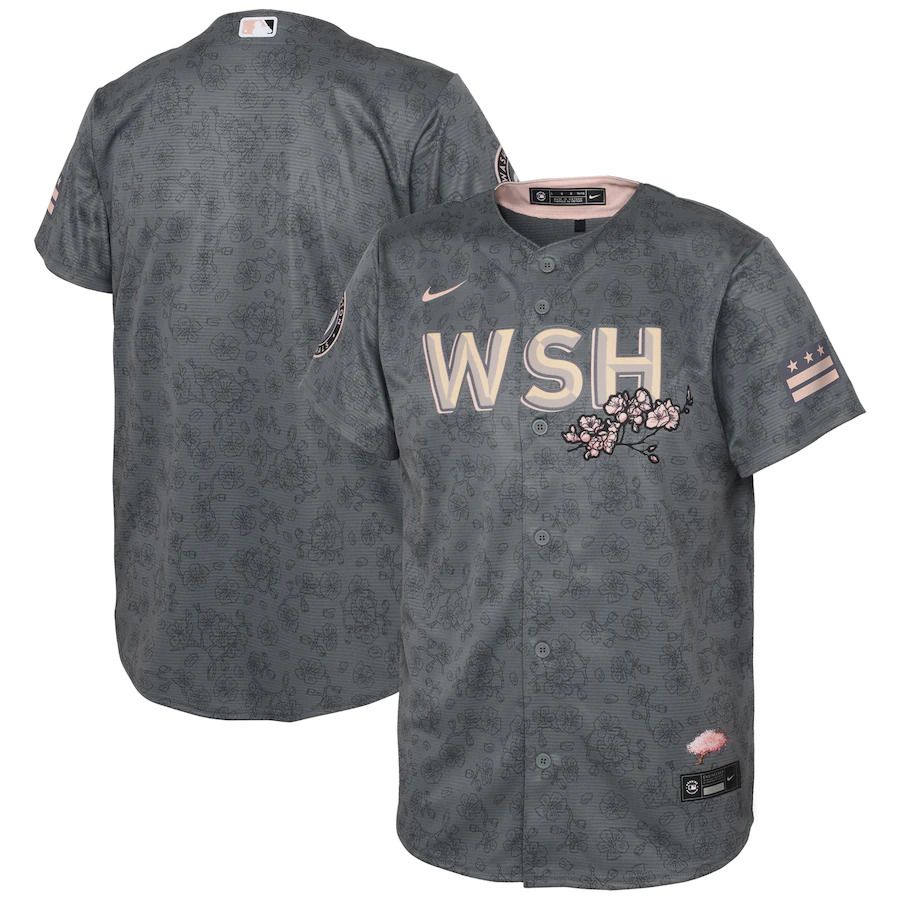 Custom Men Washington Nationals Blank Nike Gray 2022 City Connect Replica MLB Jersey